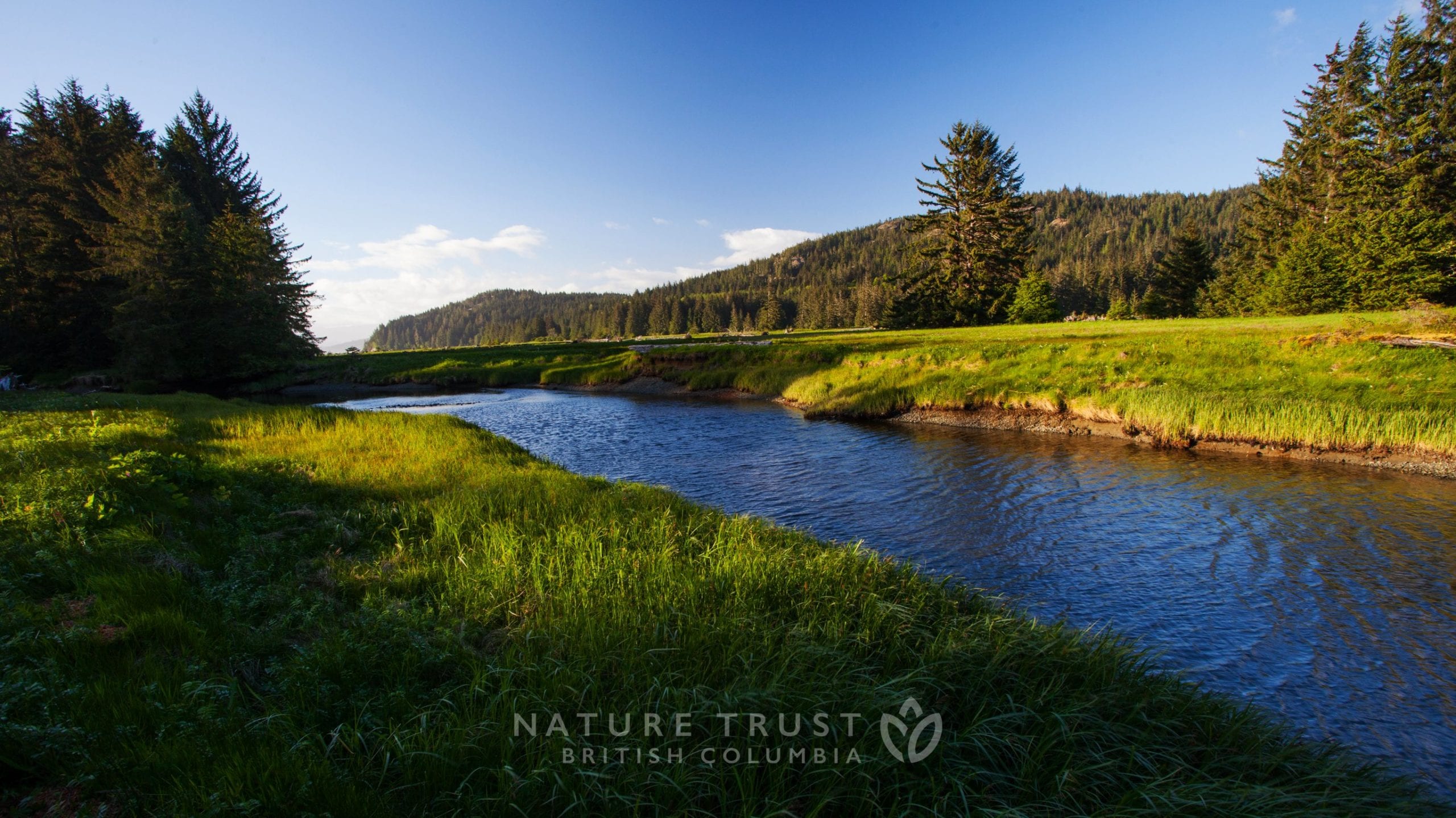 Nature Landscapes Wallpaper | The Nature Trust of British Columbia