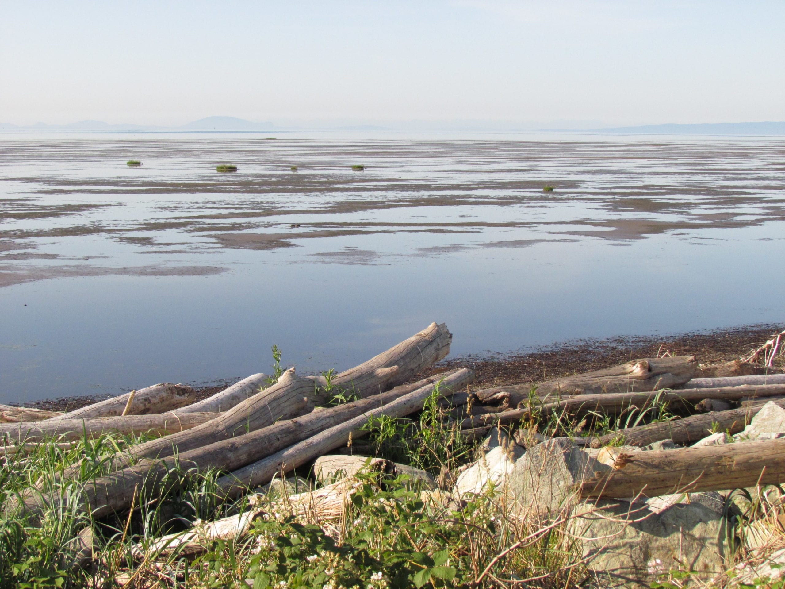 Boundary Bay