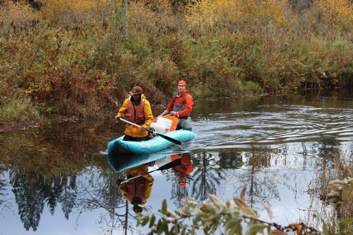 BCIT Students Chehalis River Study