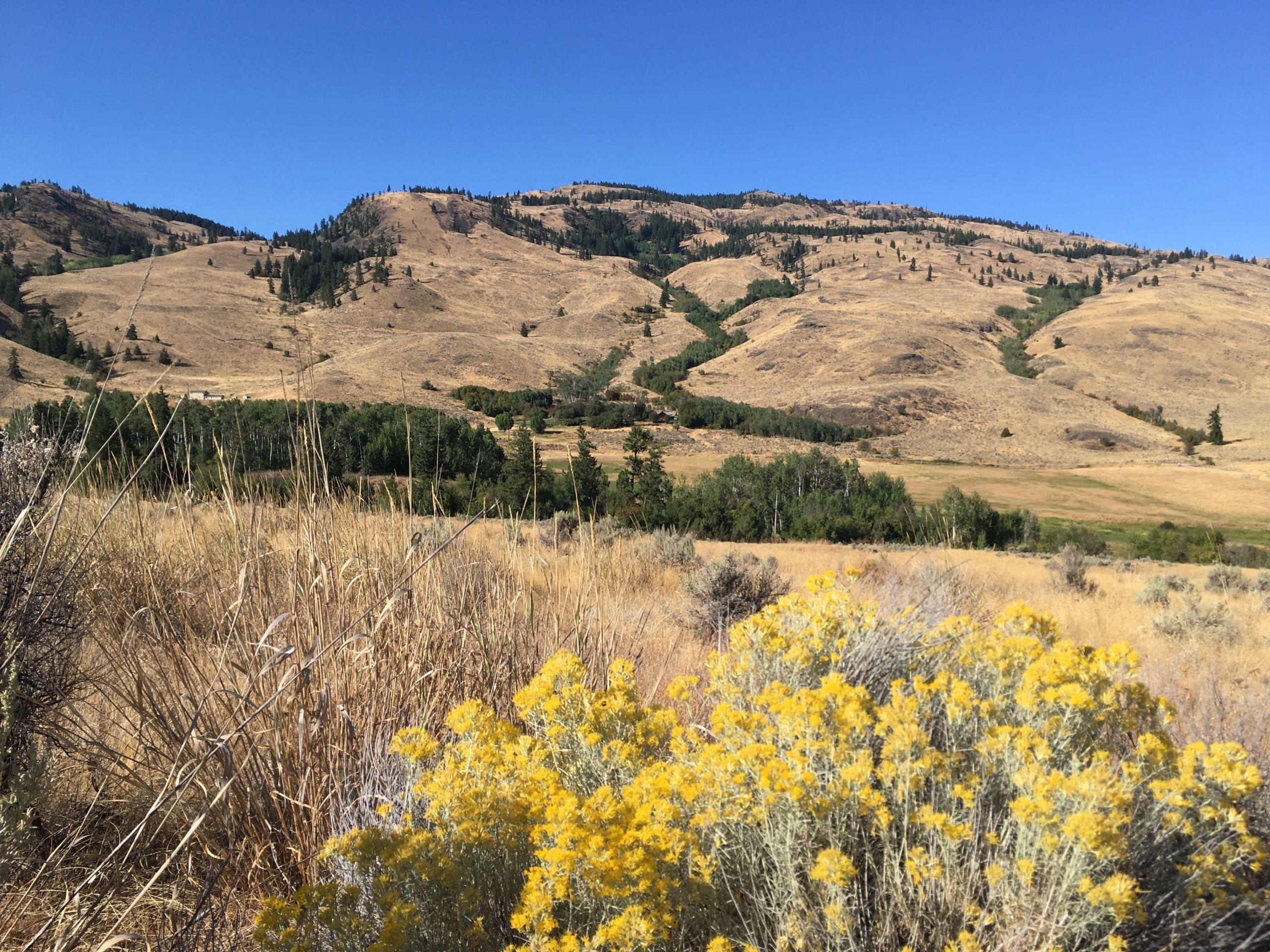 Park Rill Creek land - Okanagan, BC