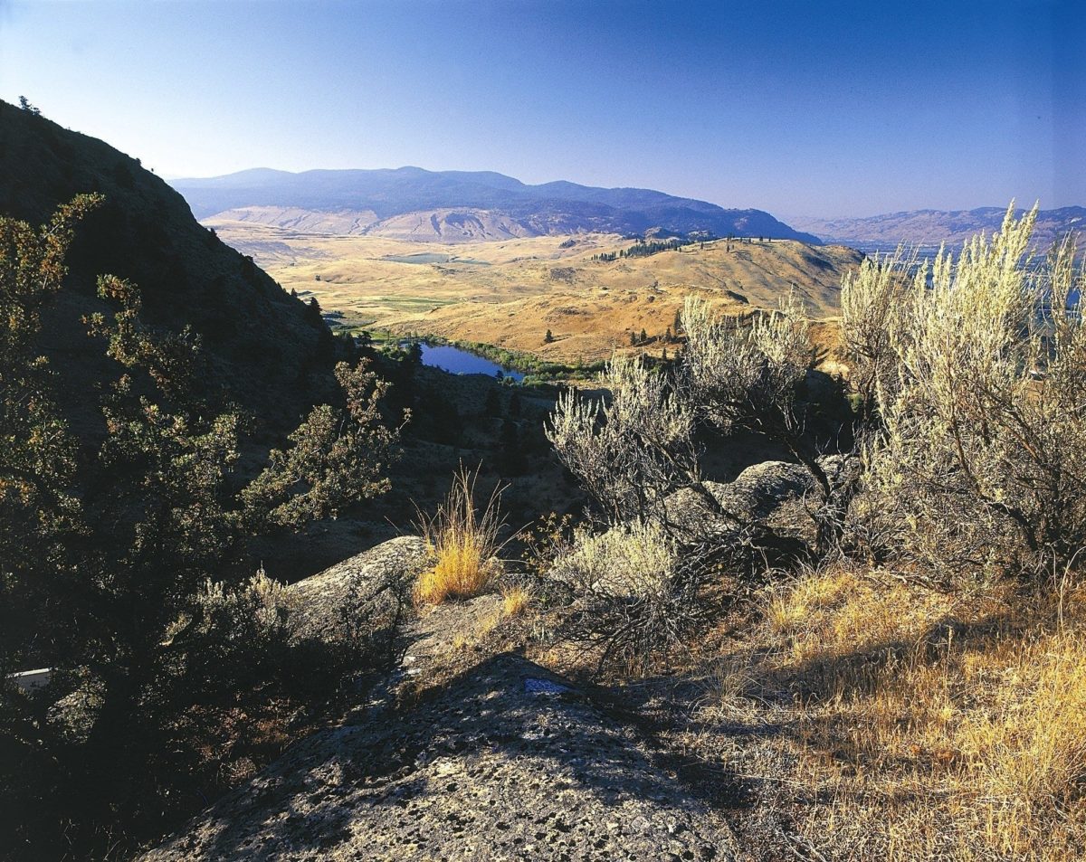 Okanagan grasslands