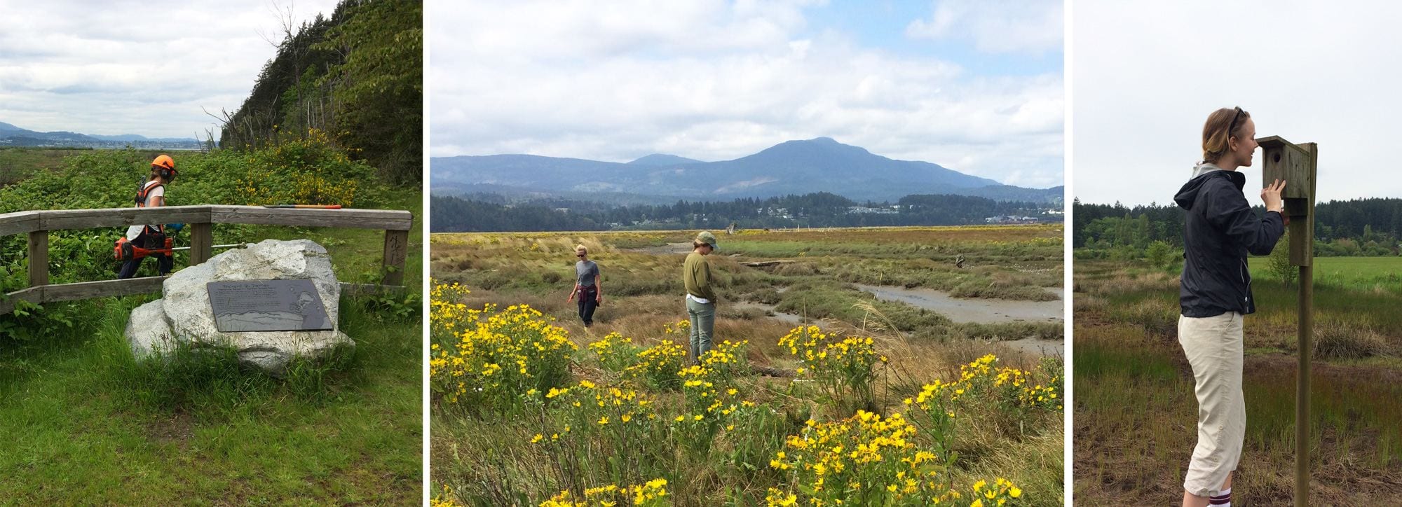 Vancouver Island Conservation Land Management Program Vancouver Island Conservation Land Management Program