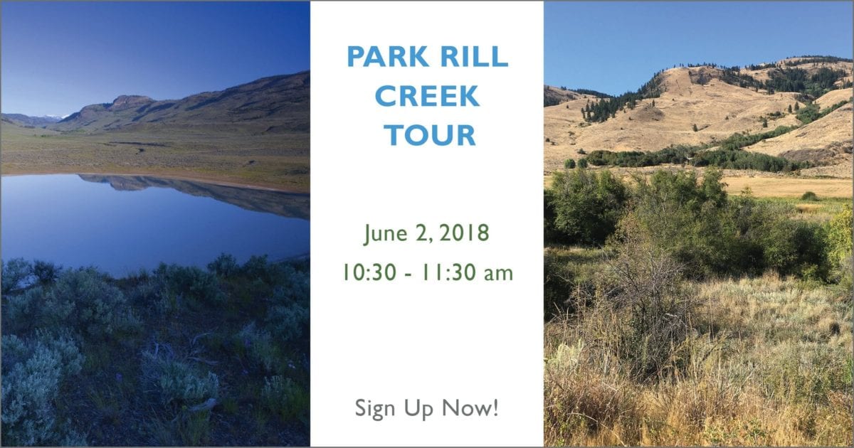 Walking Tour to Learn About Park Rill Creek