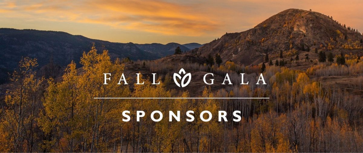 Fall Gala 2018 Sponsors