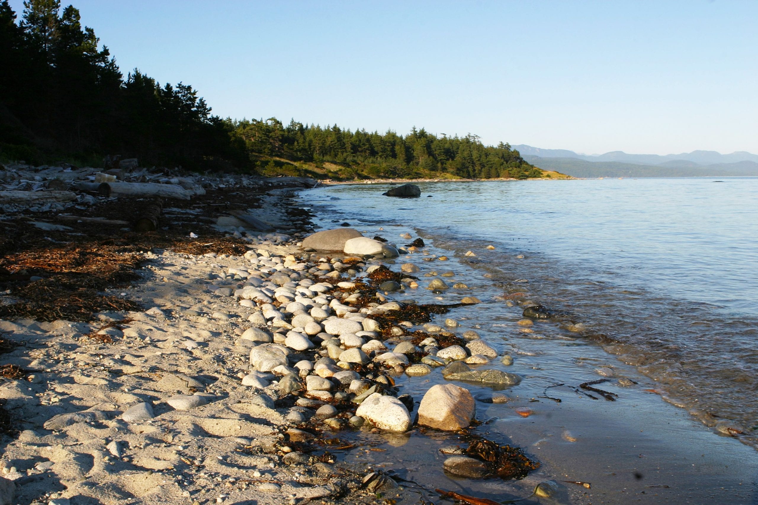 Savary Island