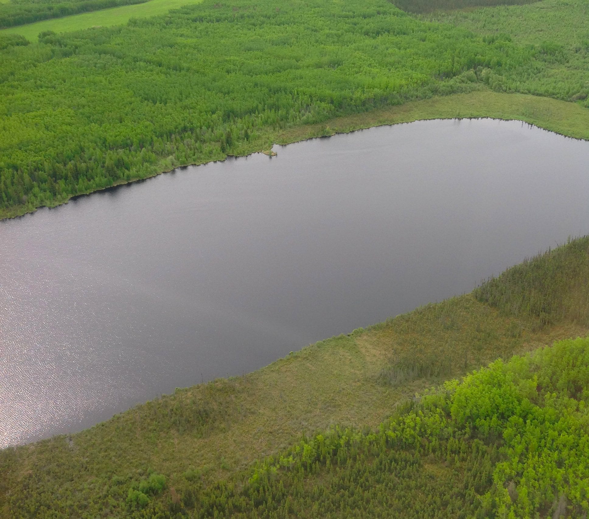 Little-Levin Lake property