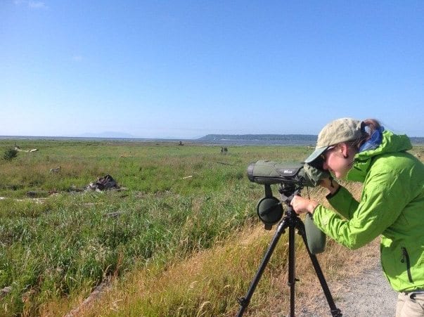 Bird Watching Boundary Bay