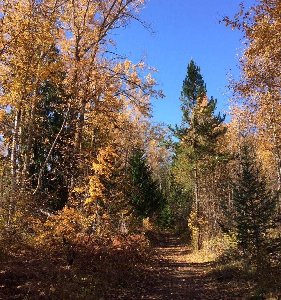 Walking by Adams River by Elaine Kennedy Oct 2018