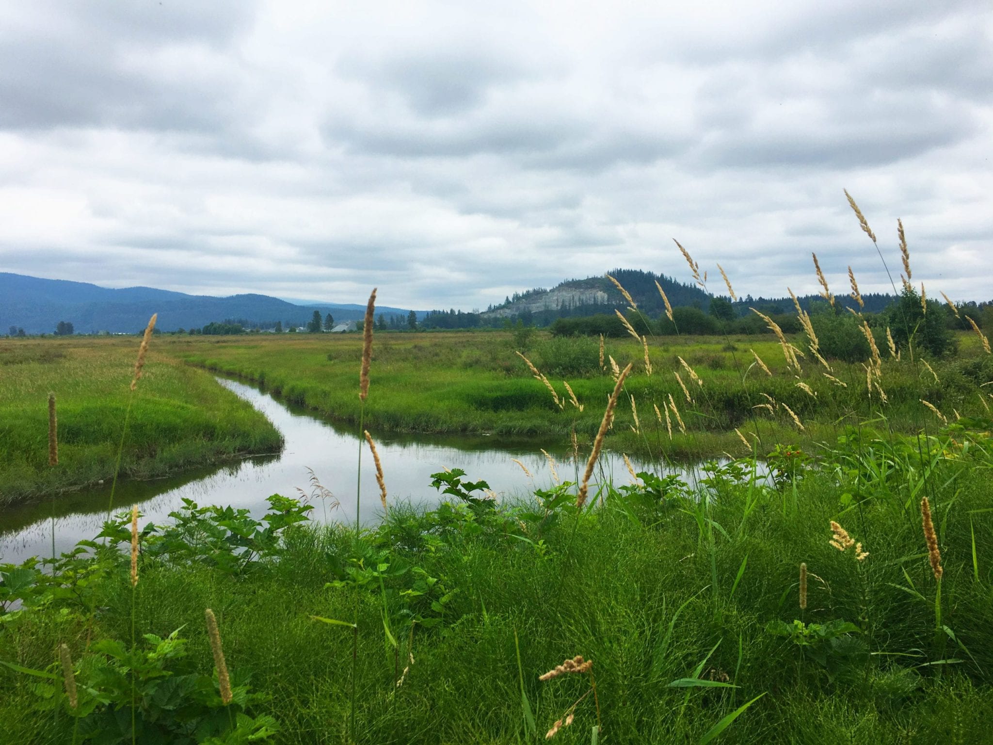 Addington Point Marsh