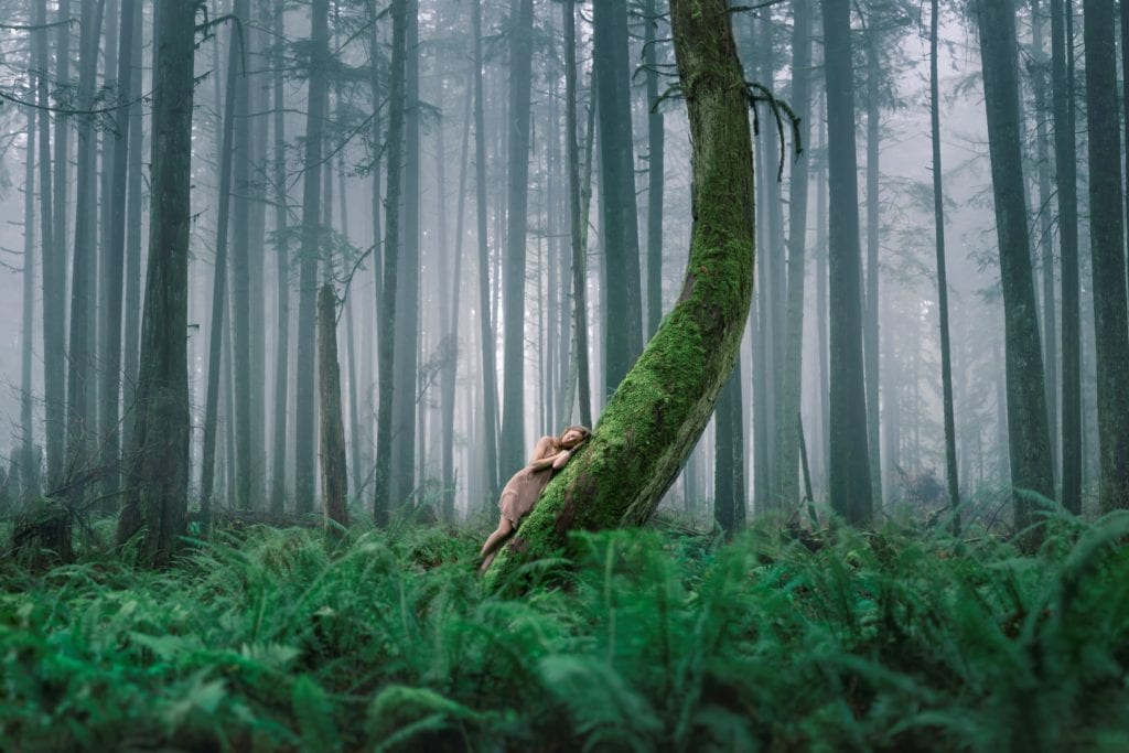 Elizabeth Gadd Photography