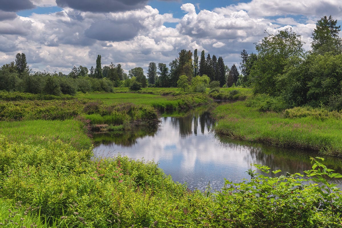 Clouds Reflect off the water in the marsh with green vegetation surrounding the water