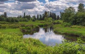 Clouds Reflect off the water in the marsh with green vegetation surrounding the water
