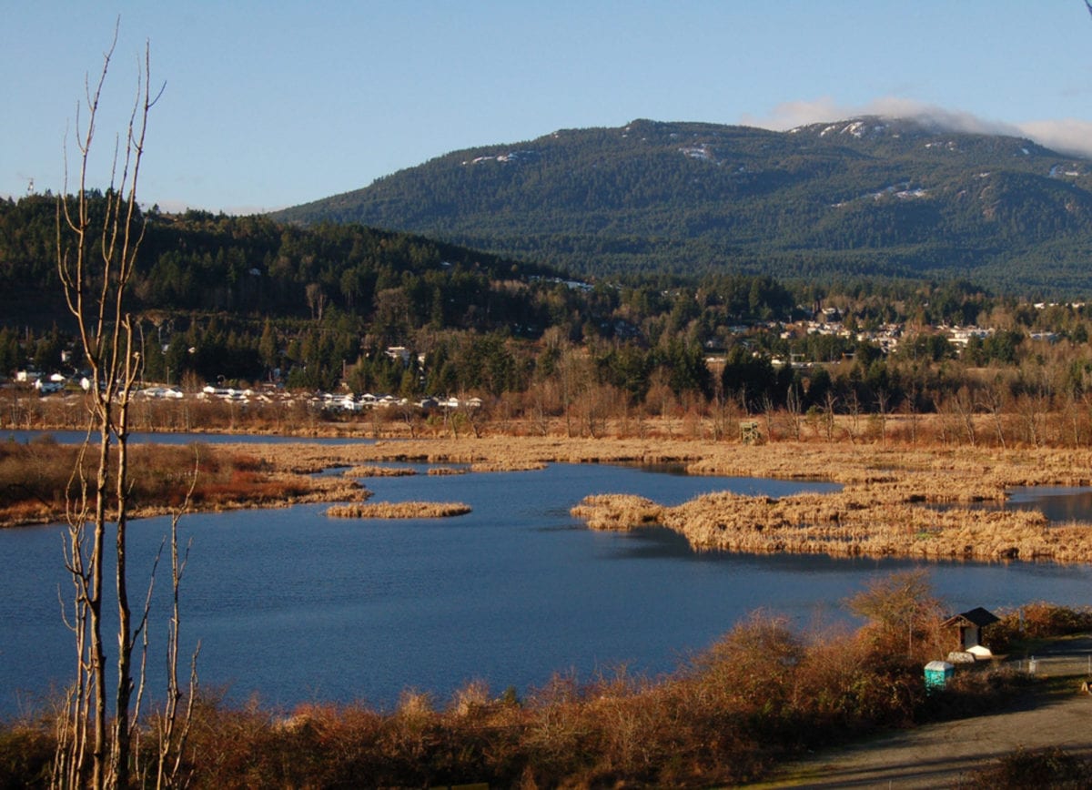 View of Buttertubs Marsh with water and brown vegetation leading to a mountain covered in trees