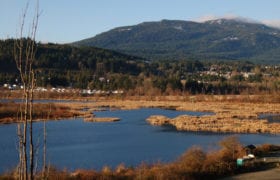 View of Buttertubs Marsh with water and brown vegetation leading to a mountain covered in trees