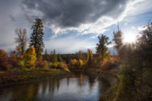 Looking over a pond surrounded by trees with the sun peaking above the canopies