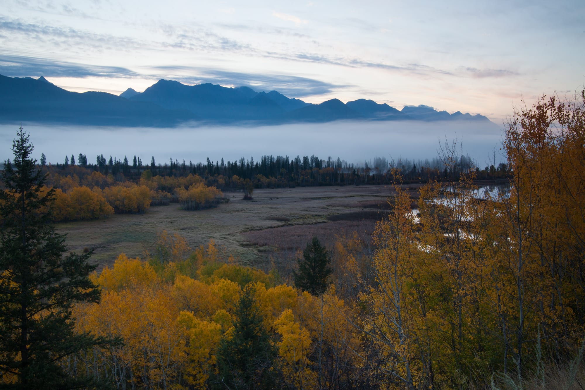 Columbia Valley along the Kootenay river with fall coloured leaves in the foreground and fog and mountains in the background