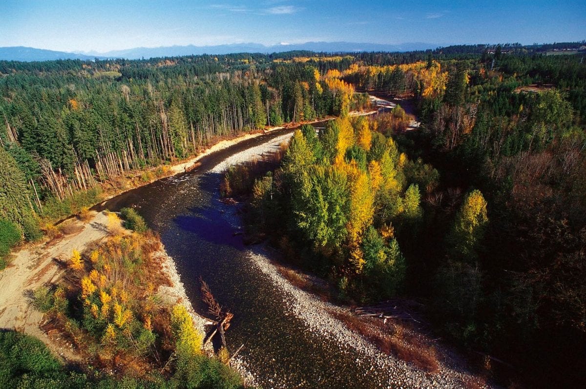 Aerial view of the englishman river with fall colours in the trees