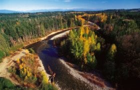 Aerial view of the englishman river with fall colours in the trees