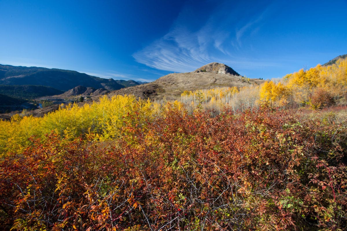 Fall grasslands at Grand Forks