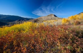 Fall grasslands at Grand Forks