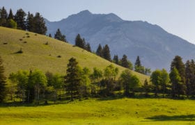 Rolling grass hills, lined with trees and rugged mountains in the background