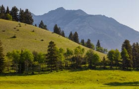 Rolling grass hills, lined with trees and rugged mountains in the background