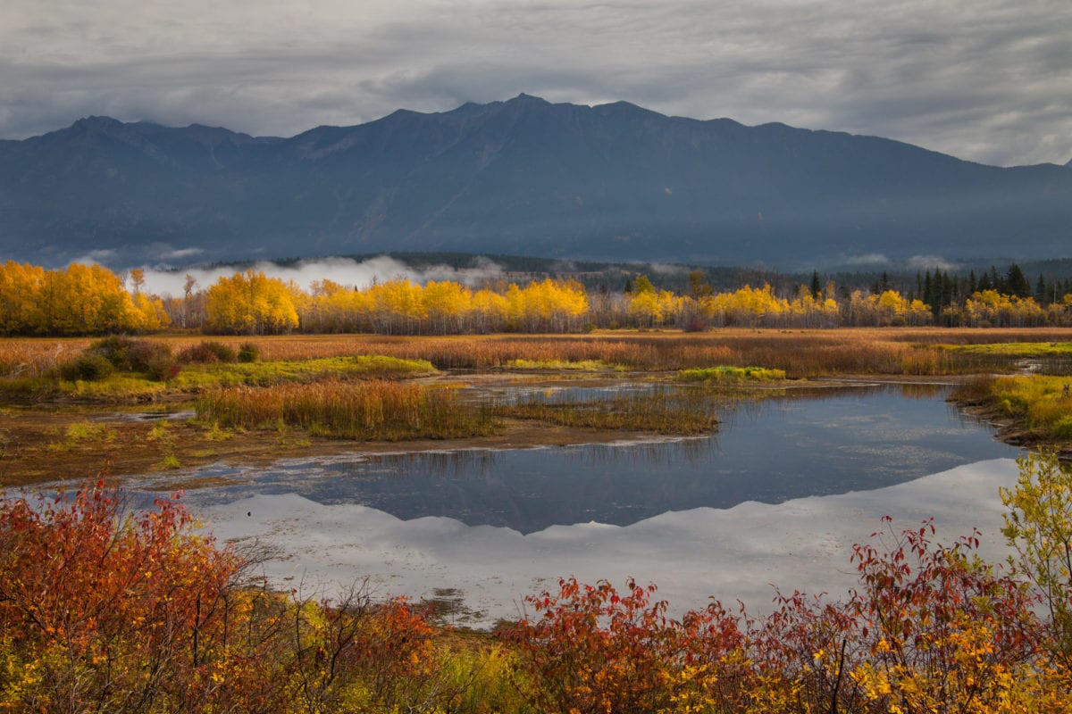 Cherry Creek along Kootenay River with fall colours and mountains reflecting in the water