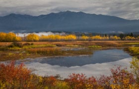 Cherry Creek along Kootenay River with fall colours and mountains reflecting in the water