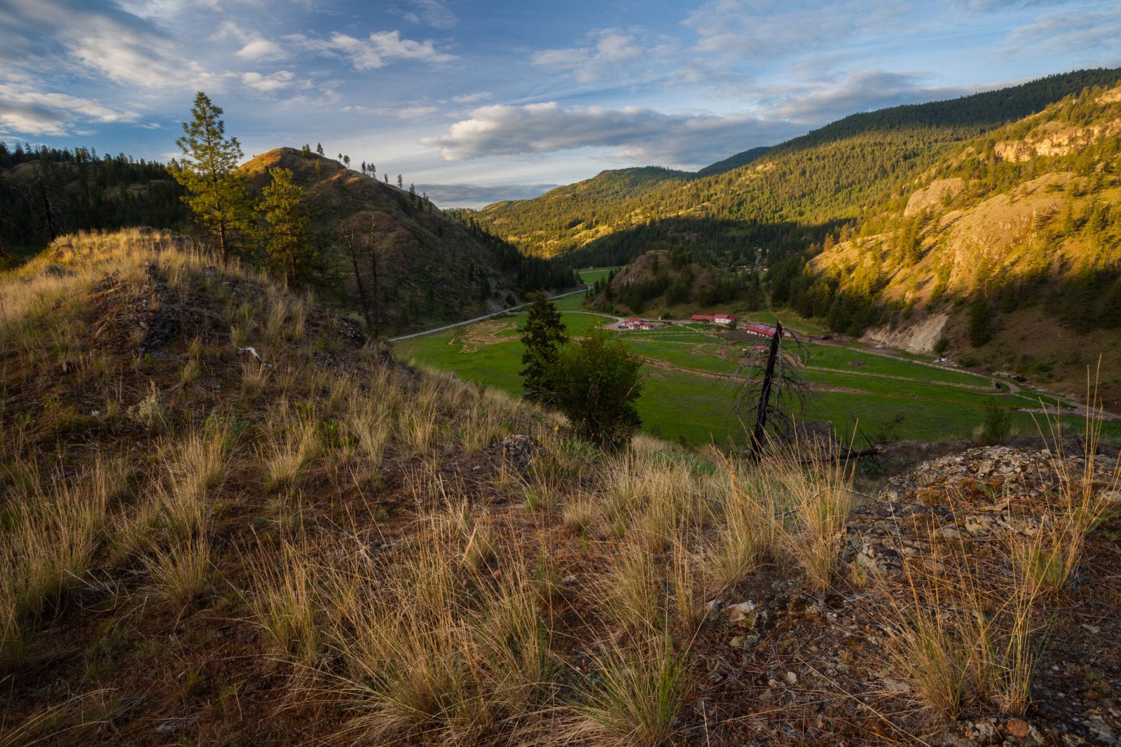 South Okanagan gains 151 acres of protected land to foster biodiversity