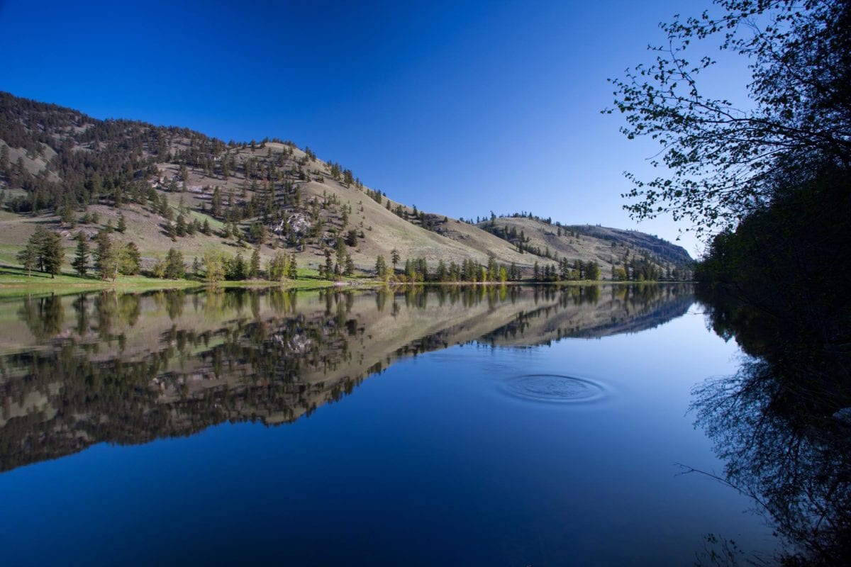 Looking out across a still lake mirroring the hill in the background in the water.