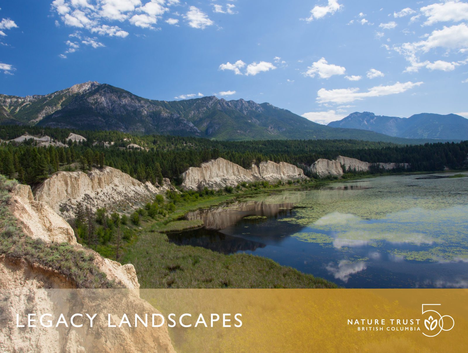 Legacy Landscapes Columbia River Edgewater The Nature Trust of British Columbia