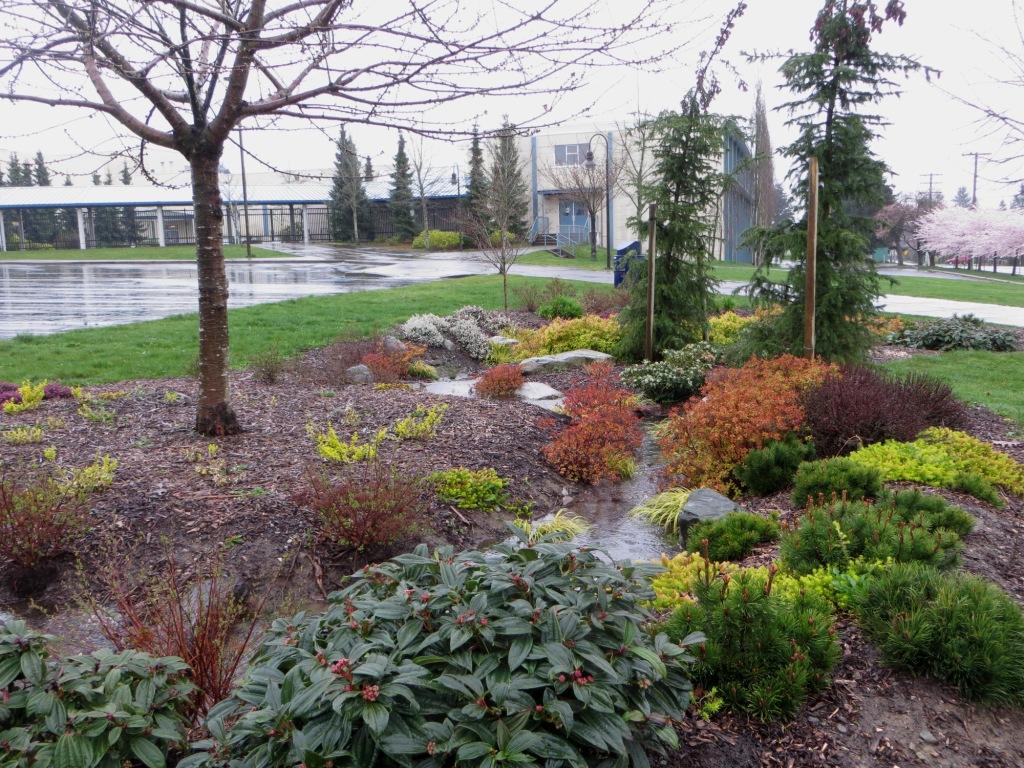 What Is a Rain Garden? - Kitsap Conservation District