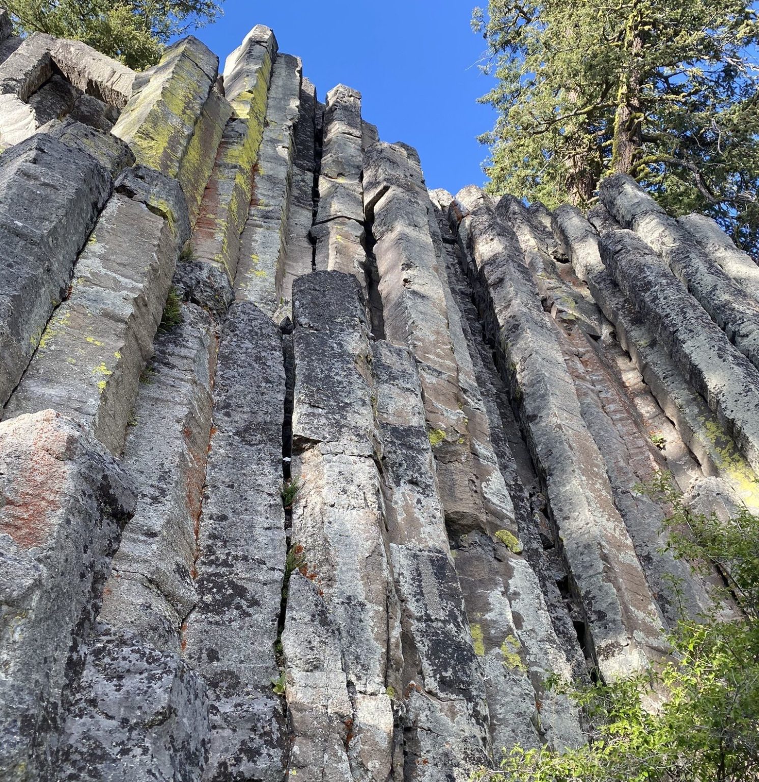 Keremeos Columns - MapleCross Grassland - The Nature Trust of British ...