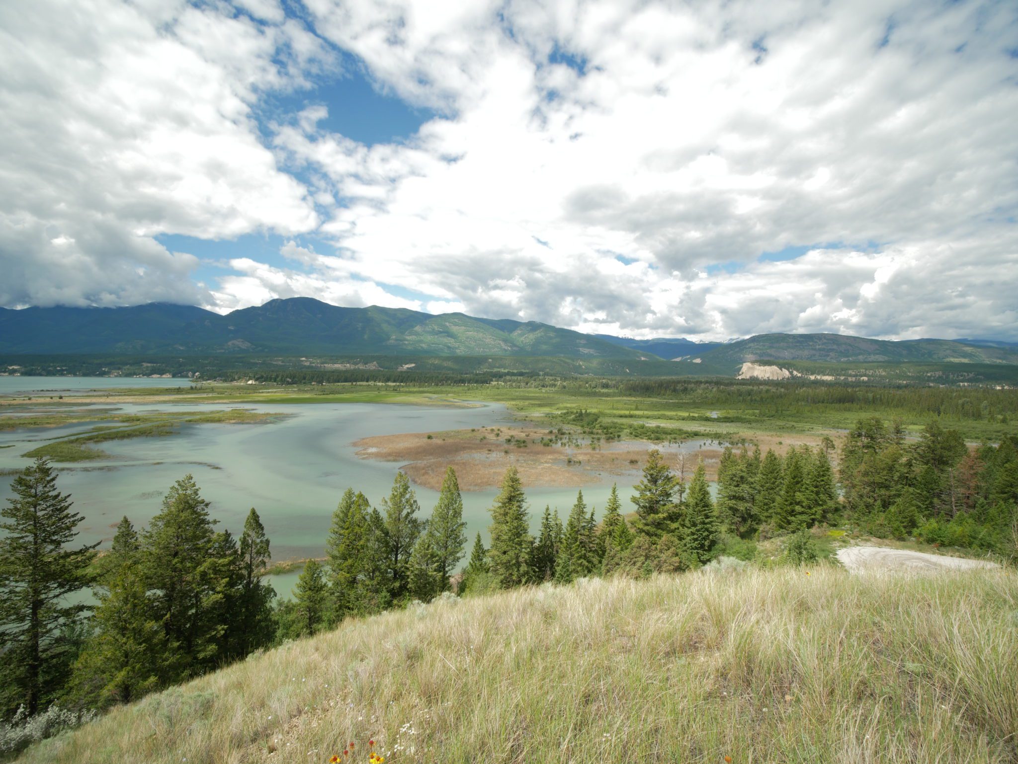 Columbia Lake North Wetlands The Nature Trust of British Columbia