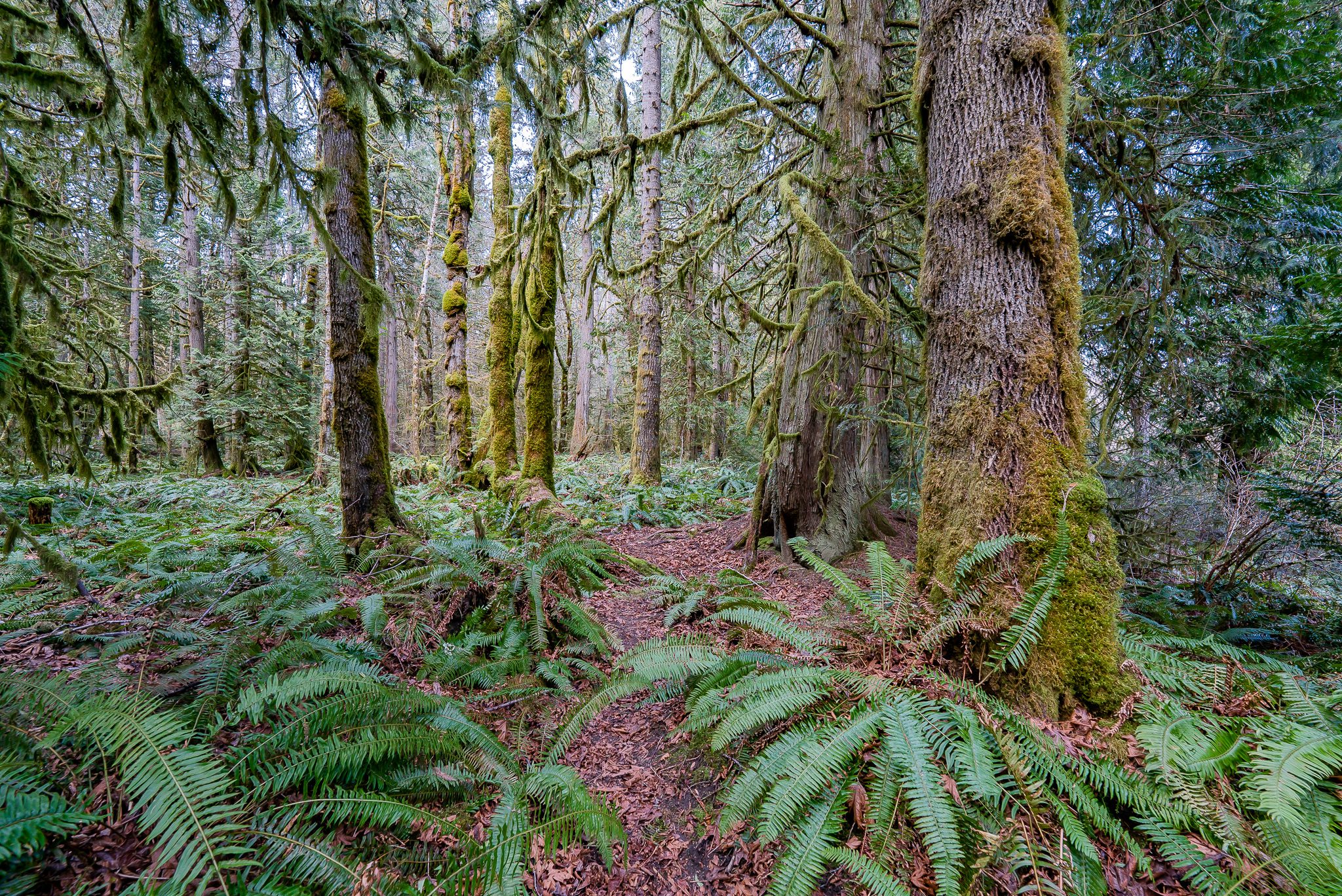 Little Qualicum River The Nature Trust of British Columbia