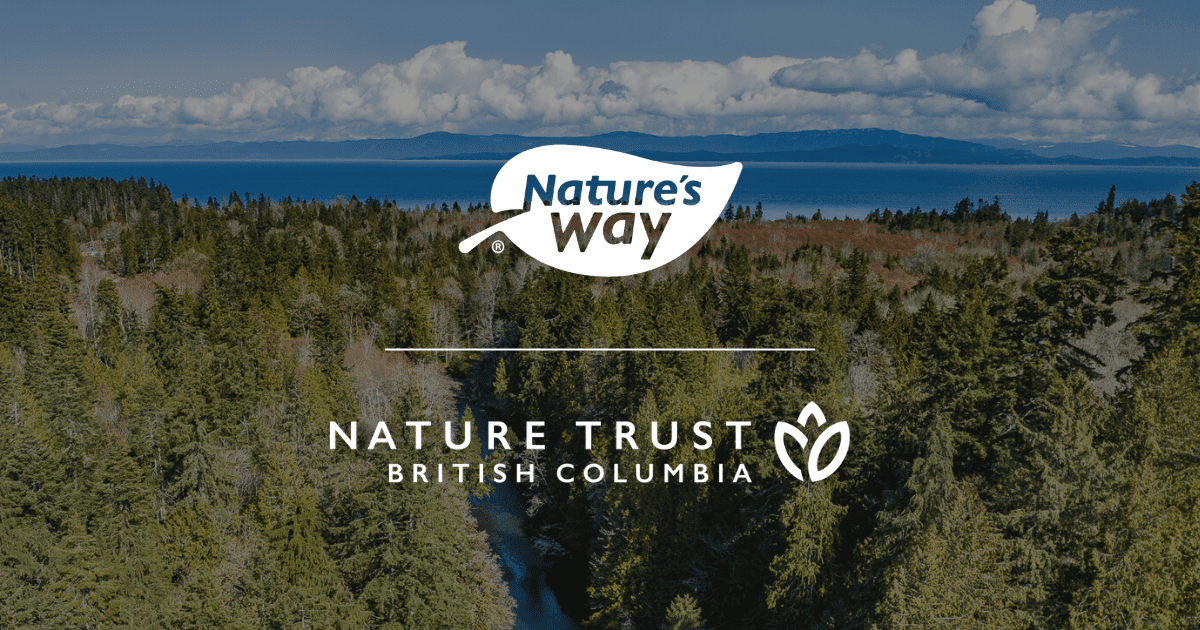 A shadowed drone photo of a river running through a forest with mountains and clouds in the background. Overlaid is two logos, one for Nature's Way Canada and the other for The Nature Trust of BC