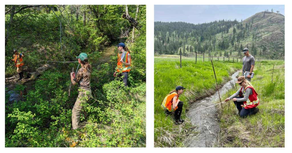 The Nature Trust of BC's Okanagan Field Crew and B.C. Wildlife Federation assess potential BDA sites.